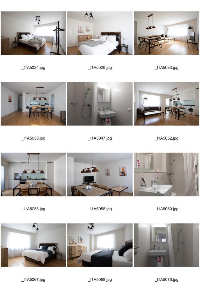 Апартаменты Nest - Riehenring 147 Базель Экстерьер фото
